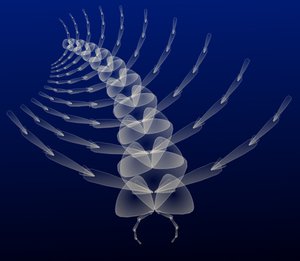 A generated fractal arthropod